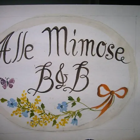 Alle Mimose Vezzano Ligure