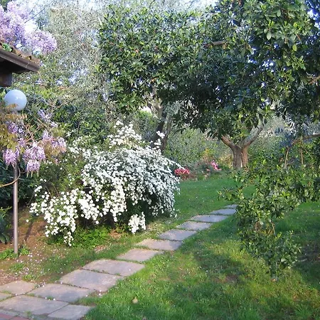 Gæstehus Alle Mimose Vezzano Ligure