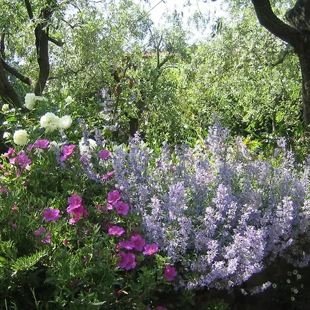 Gæstehus Alle Mimose Vezzano Ligure
