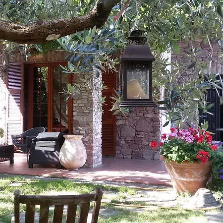 Alle Mimose Vezzano Ligure