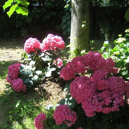 Vendégház Alle Mimose Vezzano Ligure
