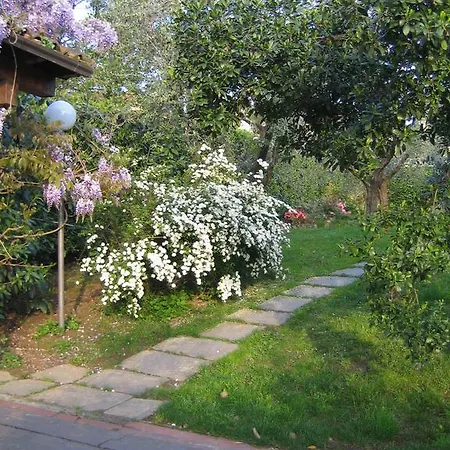 Vendégház Alle Mimose *